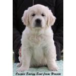 Mr Green 7 Weeks_1.jpg